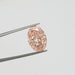 Stunning oval cut loose diamond holded with tweezer 